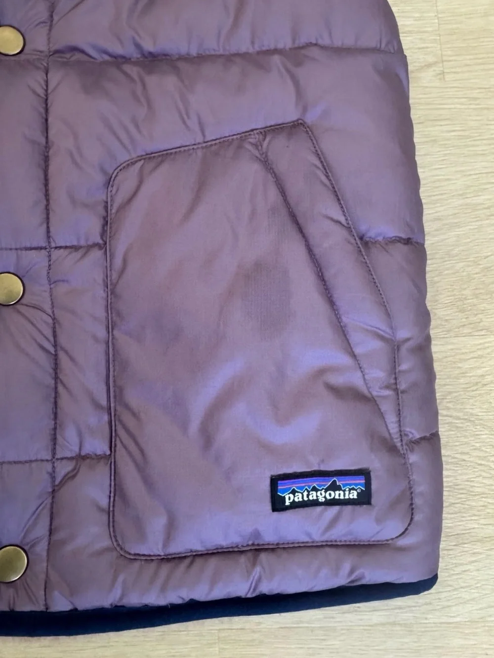 Patagonia Kids Hooded Puffer Vest in Navy & Mauve